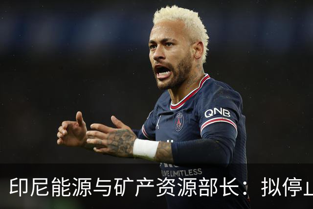 印尼能源与矿产资源部长：拟停止向不尊重印尼的国家供能