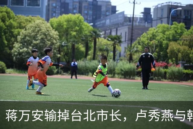 蒋万安输掉台北市长，卢秀燕与韩国瑜都没戏，国民党2028另有其人